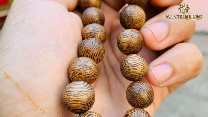 Trầm tốc Lào