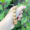 Vòng trầm Banh Indo tròn 12li tự nhiên